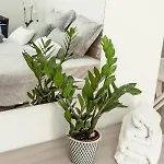 2bed - Walk To Beaches & Valletta 아파트 슬리에마