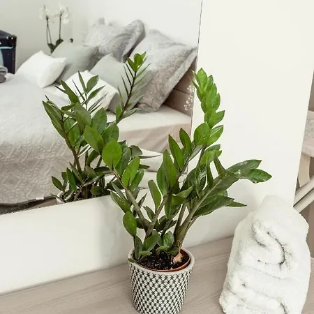 2bed - Walk To Beaches & Valletta 公寓 斯利马